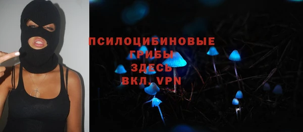 мет Гусев