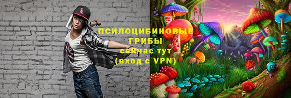 марки nbome Горнозаводск