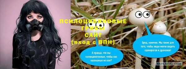 бутират Горняк
