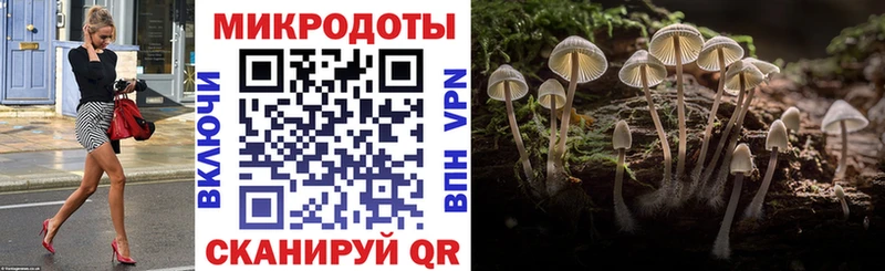 Купить где  Чернушка  Псилоцибиновые грибы мухоморы 